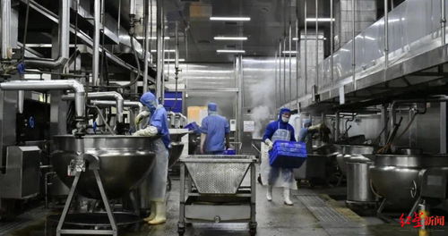 創(chuàng)新市場(chǎng)開(kāi)拓新賽道 食品企業(yè)與電氣安裝服務(wù)的跨界融合